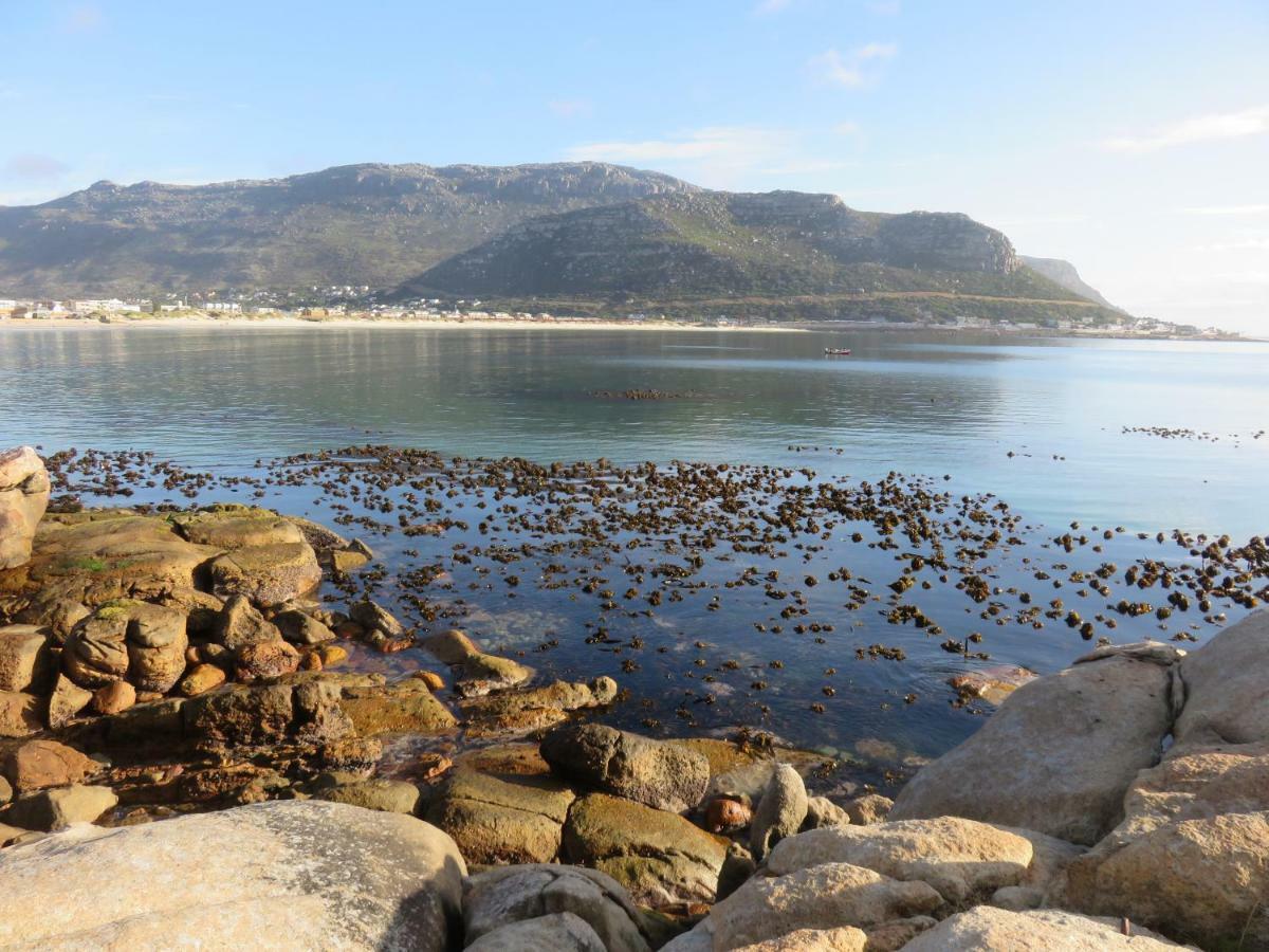 On-The-Rocks Daire Fish Hoek Dış mekan fotoğraf